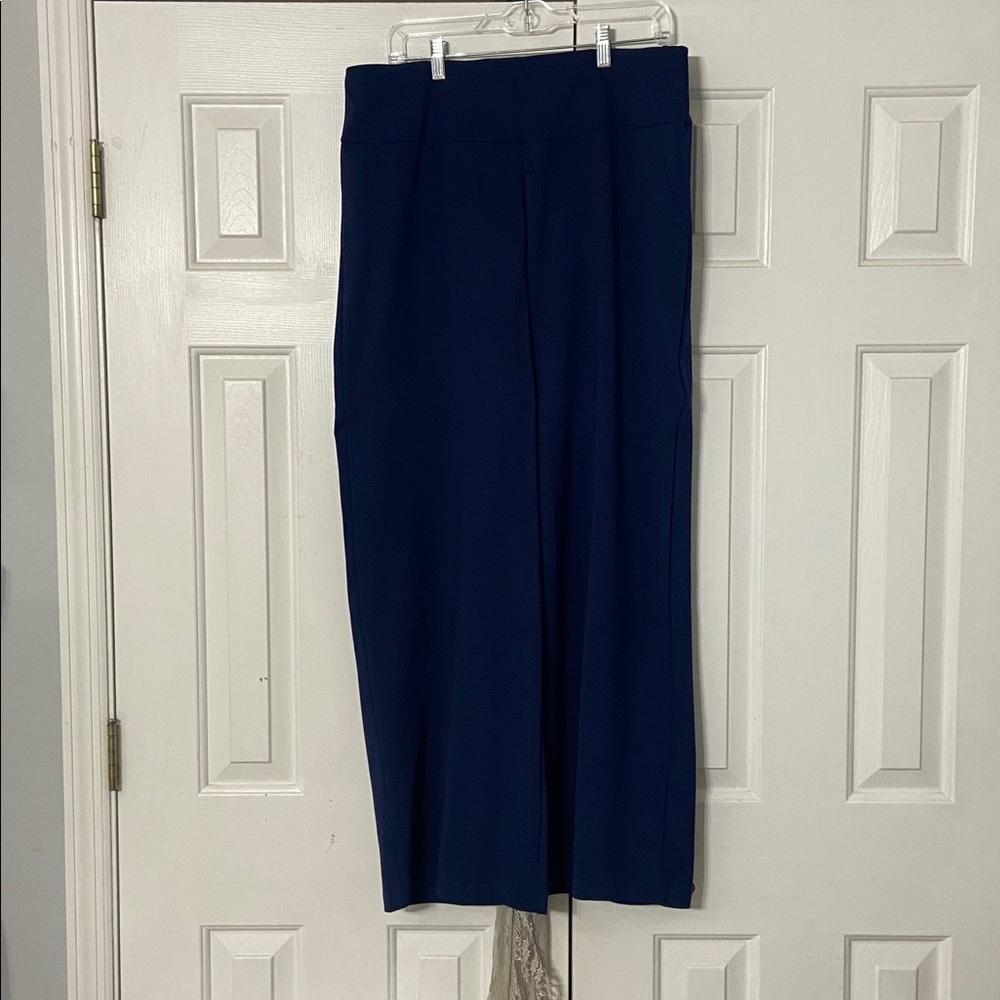 Dear scarlet Navy Pants